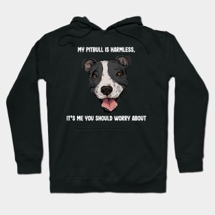 Pitbull Harmless Dangerous Owner Hoodie